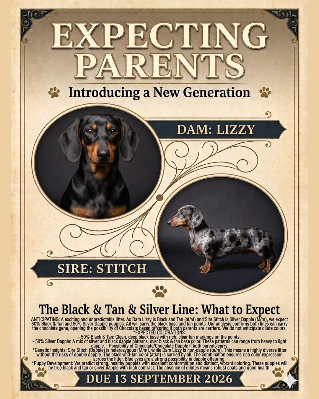 Lizzy & Stitch expecting parents — due 13 September 2026